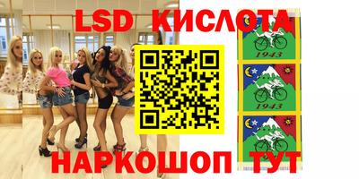 меф Кингисепп