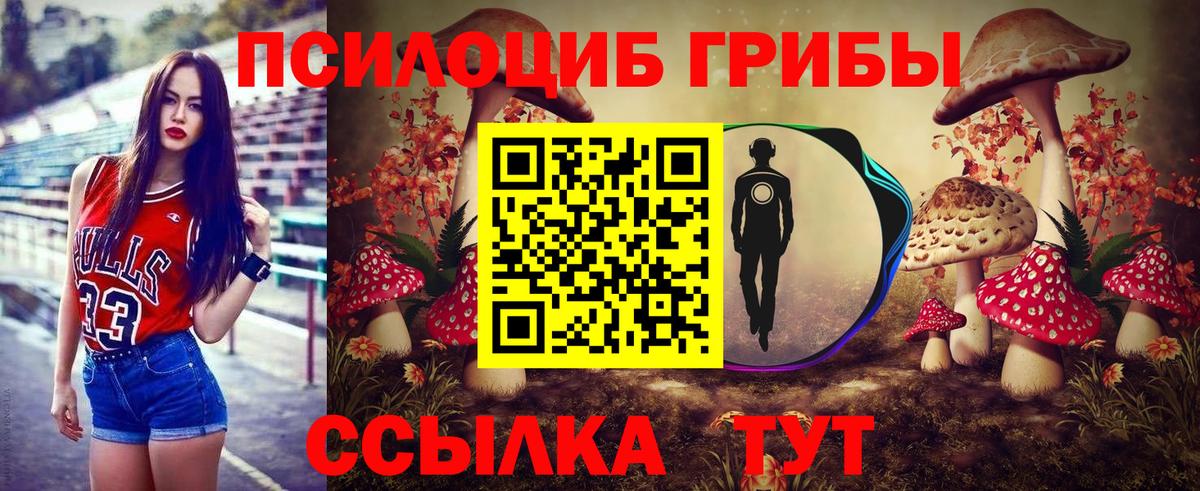 Лесной  Галлюциногенные грибы Psilocybe  Вход с VPN  Галлюциногенные грибы Psilocybine cubensis 
