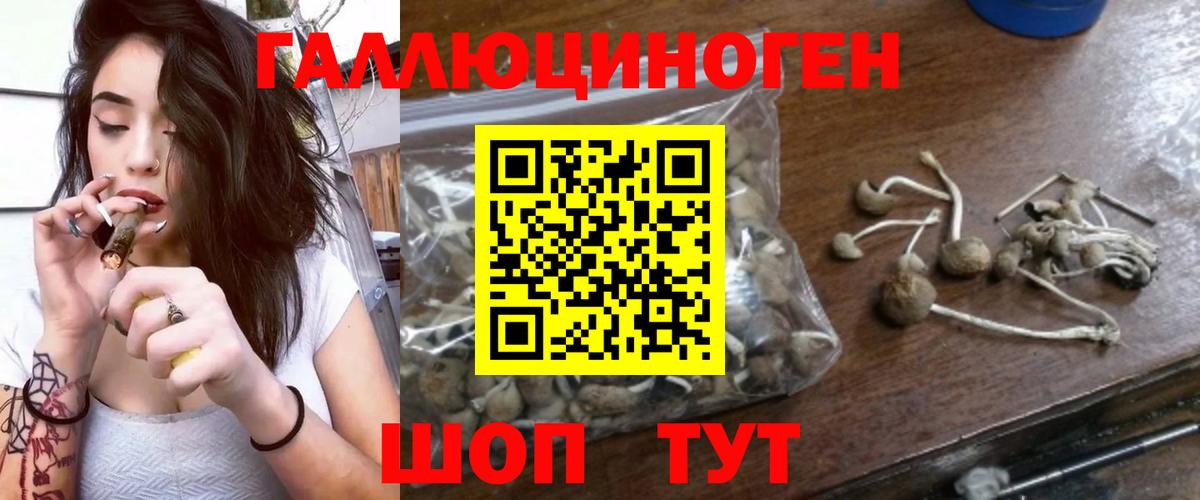 Псилоцибиновые грибы Psilocybe Лесной